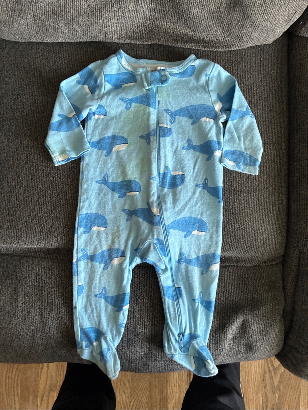 ☀️6M Whale Sleeper☀️